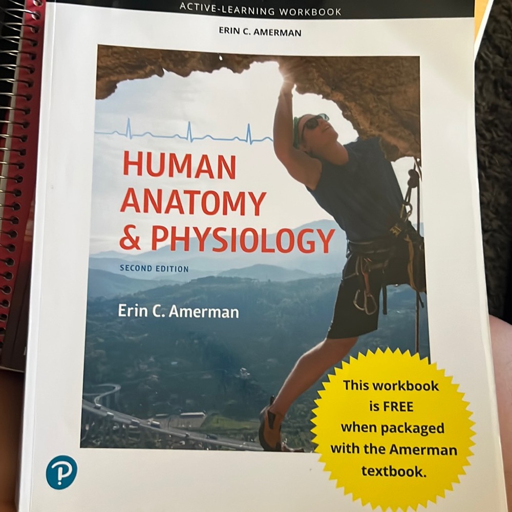 Human anatomy and physiology work book